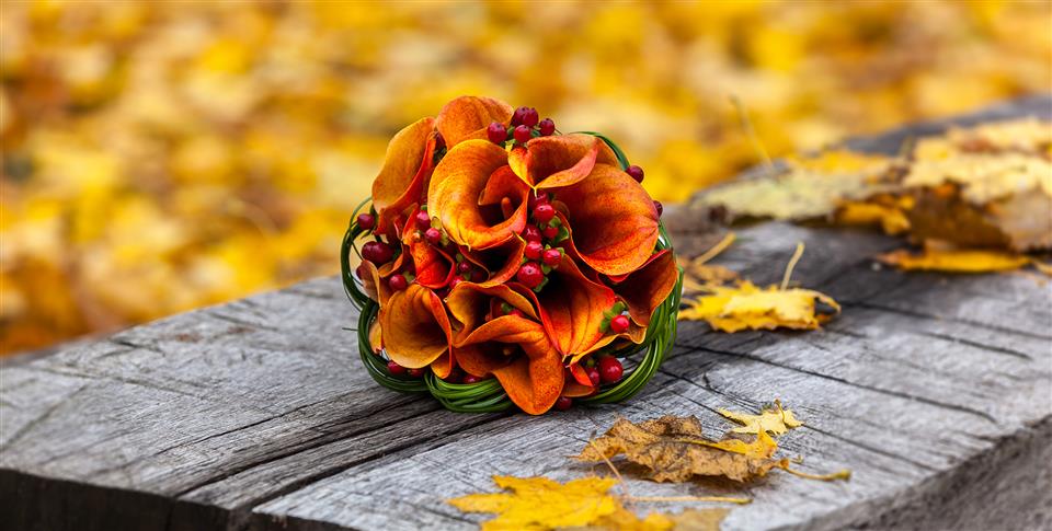 Cut 'N' Dry Florist